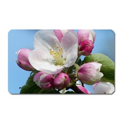 Apple Blossom  Magnet (rectangular) by ADIStyle