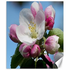 Apple Blossom  Canvas 20  X 24  (unframed) by ADIStyle