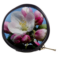 Apple Blossom  Mini Makeup Case