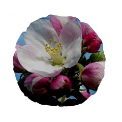 Apple Blossom  15  Premium Round Cushion  by ADIStyle