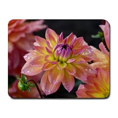 Dahlia Garden  Small Mouse Pad (rectangle) by ADIStyle