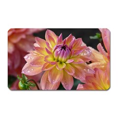 Dahlia Garden  Magnet (rectangular) by ADIStyle