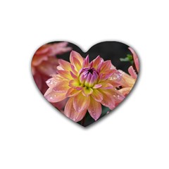 Dahlia Garden  Drink Coasters (heart) by ADIStyle