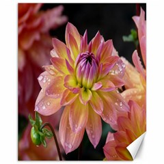 Dahlia Garden  Canvas 11  X 14  (unframed) by ADIStyle