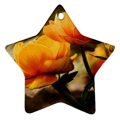 Flowers Butterfly Star Ornament by ADIStyle