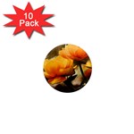 Flowers Butterfly 1  Mini Button Magnet (10 pack) Front