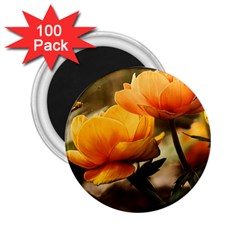 Flowers Butterfly 2 25  Button Magnet (100 Pack) by ADIStyle