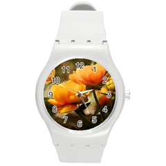 Flowers Butterfly Plastic Sport Watch (medium) by ADIStyle