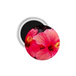 Red Hibiscus 1.75  Button Magnet Front
