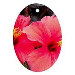 Red Hibiscus Oval Ornament