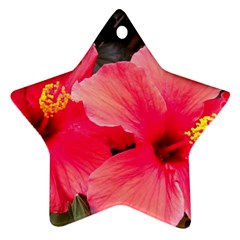 Red Hibiscus Star Ornament