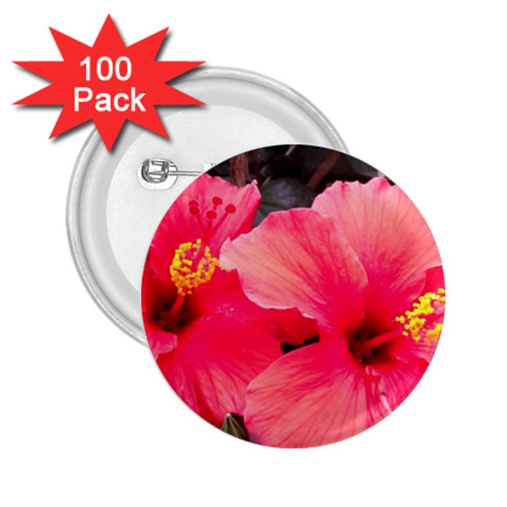 Red Hibiscus 2.25  Button (100 pack)