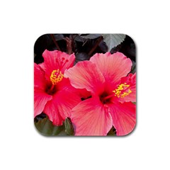 Red Hibiscus Drink Coasters 4 Pack (square)