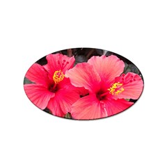 Red Hibiscus Sticker (oval)