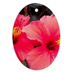 Red Hibiscus Oval Ornament (Two Sides) Front