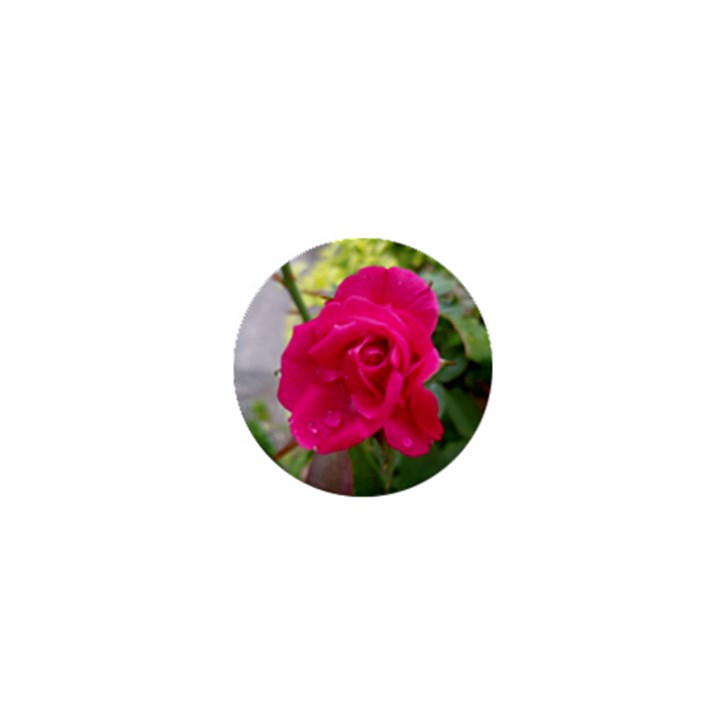 Pink Flower 1  Mini Button Magnet