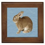 Cute Bunny Framed Ceramic Tile Front