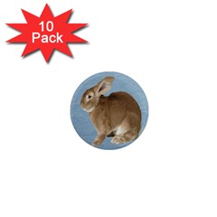 Cute Bunny 1  Mini Button Magnet (10 Pack)