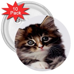 Curious Kitty 3  Button (10 Pack) by mysticalimages