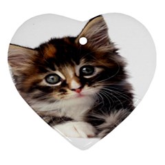 Curious Kitty Heart Ornament (two Sides) by mysticalimages