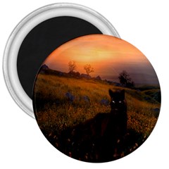 Evening Rest 3  Button Magnet