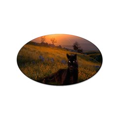 Evening Rest Sticker 100 Pack (oval) by mysticalimages