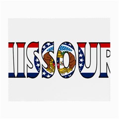 Missouri Glasses Cloth (small) by worldbanners