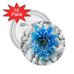 Blue 2 25  Button (10 Pack) by Contest1650520