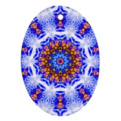 Smoke Art  (6) Oval Ornament by smokeart