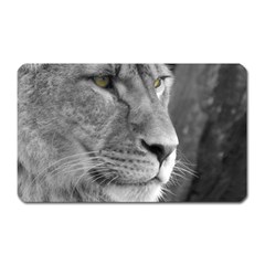 Lion 1 Magnet (rectangular)