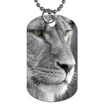 Lion 1 Dog Tag (One Sided) Front