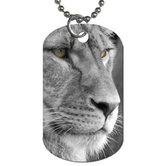 Lion 1 Dog Tag (two Sided)  by smokeart