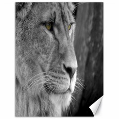 Lion 1 Canvas 18  X 24  (unframed) by smokeart