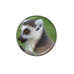 Ring Tailed Lemur  2 Golf Ball Marker 10 Pack (for Hat Clip) by smokeart