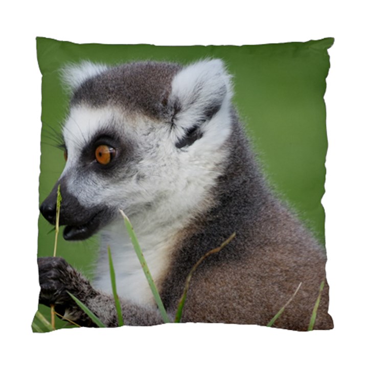 Ring Tailed Lemur  2 Cushion Case (Two Sides)