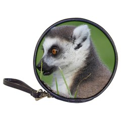 Ring Tailed Lemur  2 Cd Wallet by smokeart