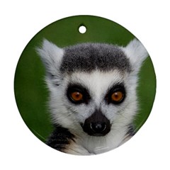 Ring Tailed Lemur Round Ornament