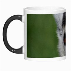 Ring Tailed Lemur Morph Mug