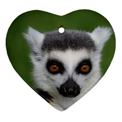 Ring Tailed Lemur Heart Ornament (two Sides) by smokeart