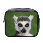 Ring Tailed Lemur Mini Travel Toiletry Bag (Two Sides) Front