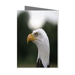 Bald Eagle (1) Mini Greeting Card (8 Pack) by smokeart