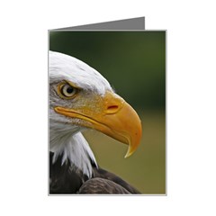 Bald Eagle (2) Mini Greeting Card by smokeart