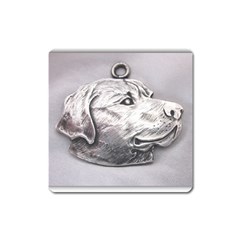 Labrador Magnet (square)