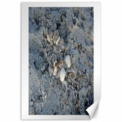 Sea Shells On The Shore Canvas 20  X 30  (unframed) by createdbylk