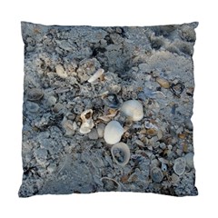 Sea Shells On The Shore Cushion Case (two Sides) by createdbylk