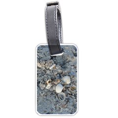 Sea Shells On The Shore Luggage Tag (one Side) by createdbylk