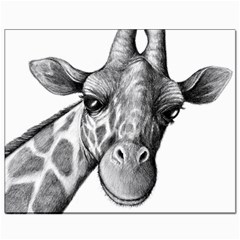 Giraffe Canvas 8  X 10  (unframed) by pinguindesigns