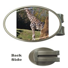 Giraffe Money Clip (oval) by plindlau