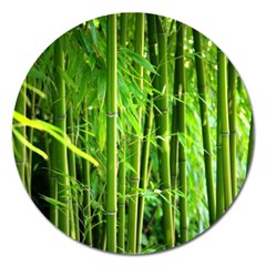 Bamboo Magnet 5  (round) by Siebenhuehner