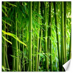Bamboo Canvas 12  X 12  (unframed) by Siebenhuehner
